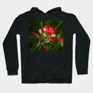 Red Paintbrush in Style Hoodie